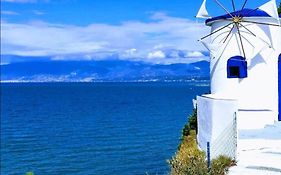 Κοράλλι Πάτρα Φωτογραφίεσ