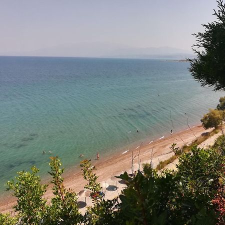 Koralli Sea View Hotel Κάτω Αχαΐα Εξωτερικό φωτογραφία